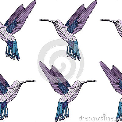 Colorful colibri bird pattern Vector Illustration